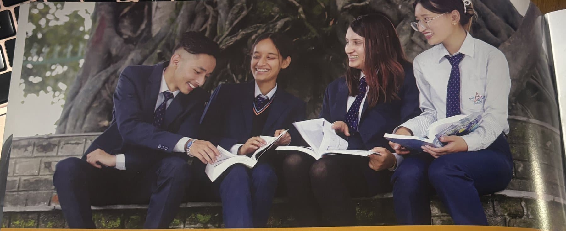Students reading together on a bench beneath a banyan tree